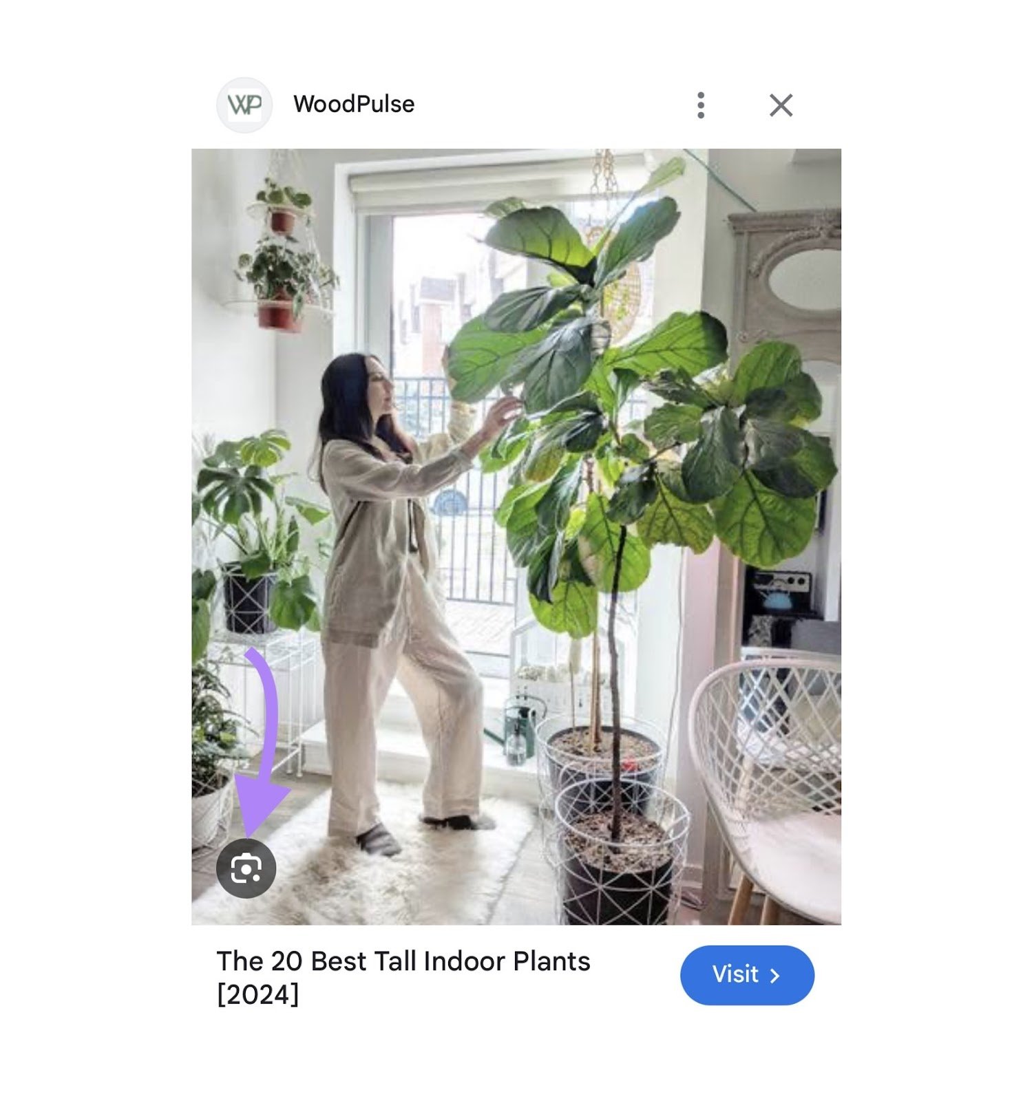 An image selected from Google Images with the camera icon at the bottom left highlighted.