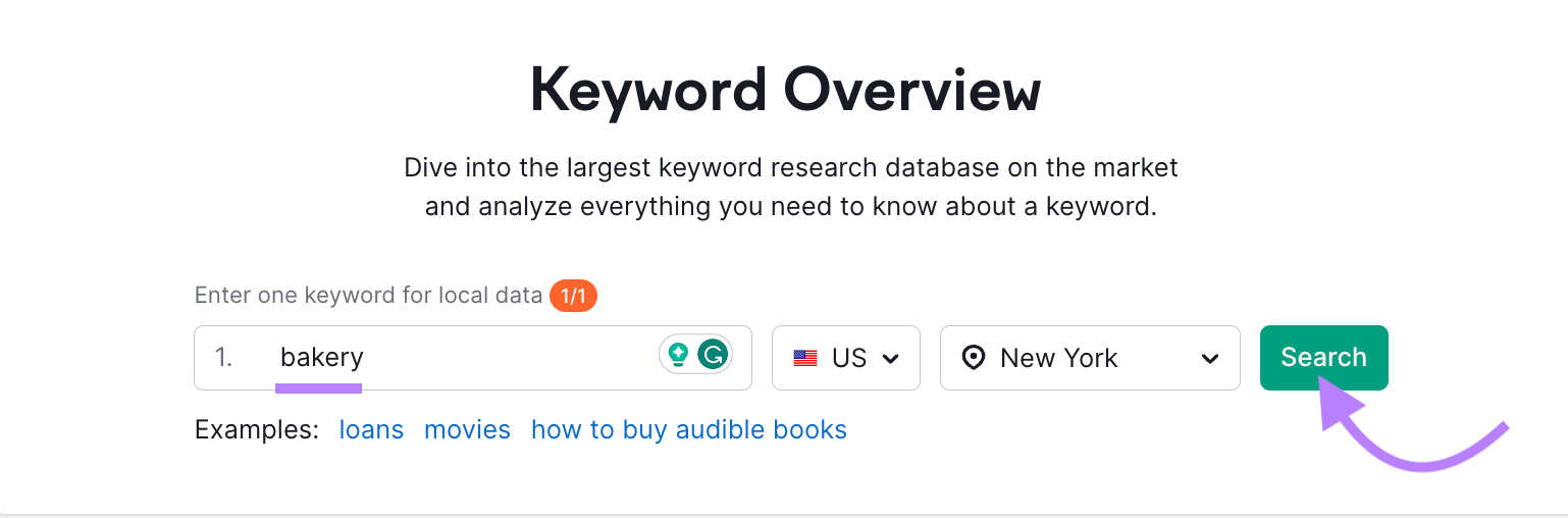 "bakery" entered into Keyword Overview tool search bar