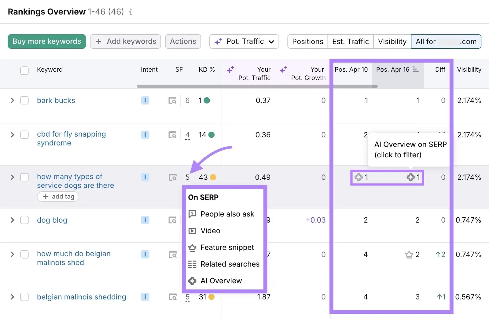 Rankings Overview table with SERP features and positions highlighted.