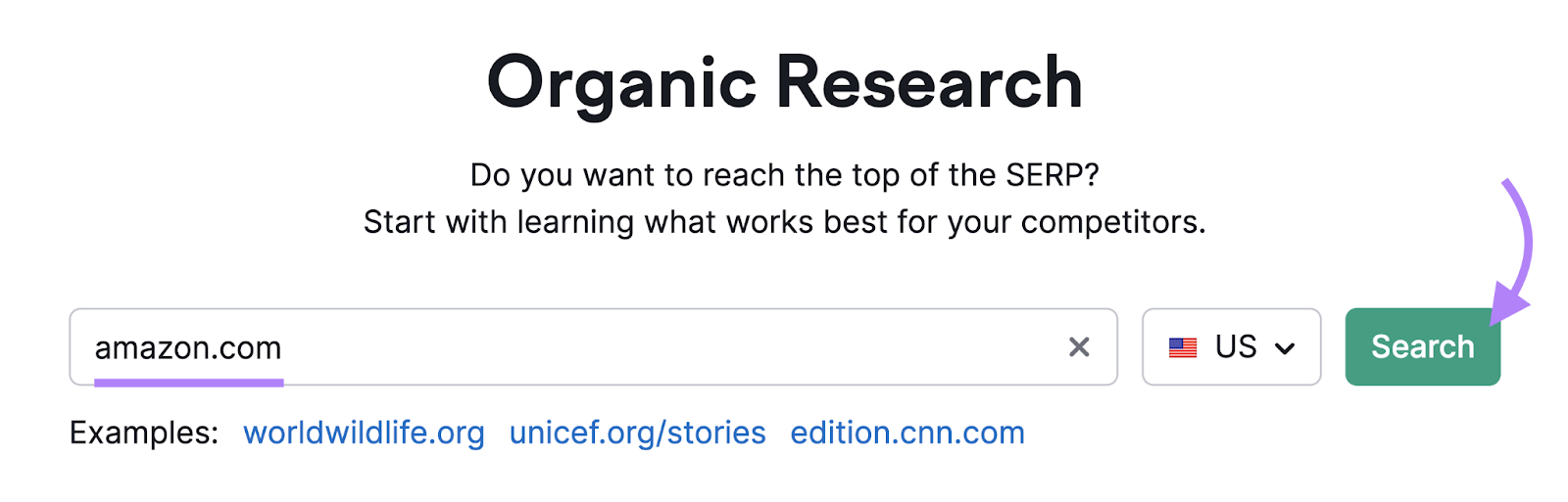 search for amazon.com in organic rankings tool