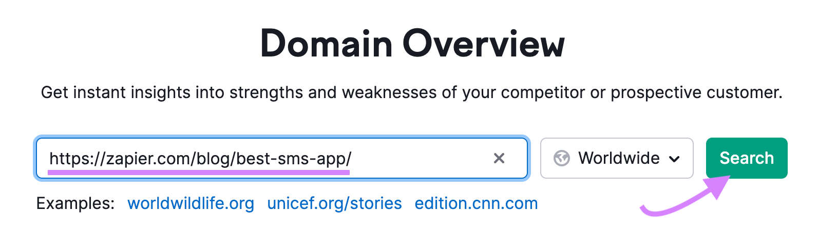 Search bar in Domain Overview tool.