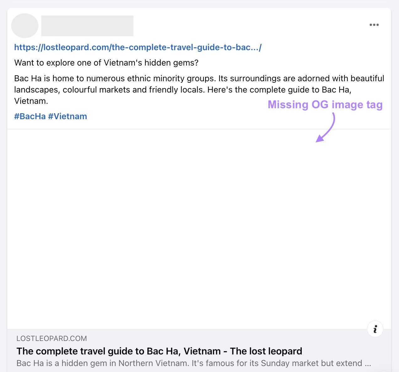 Blog post shared on Facebook without an open graph image tag.