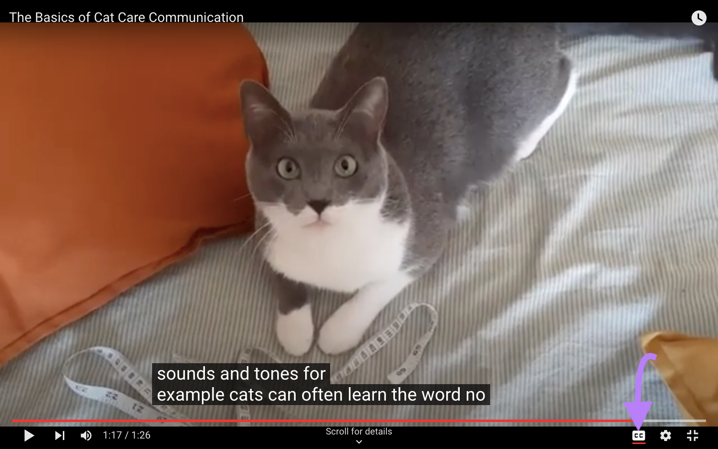 A screenshot of a YouTube video with automatic subtitles.