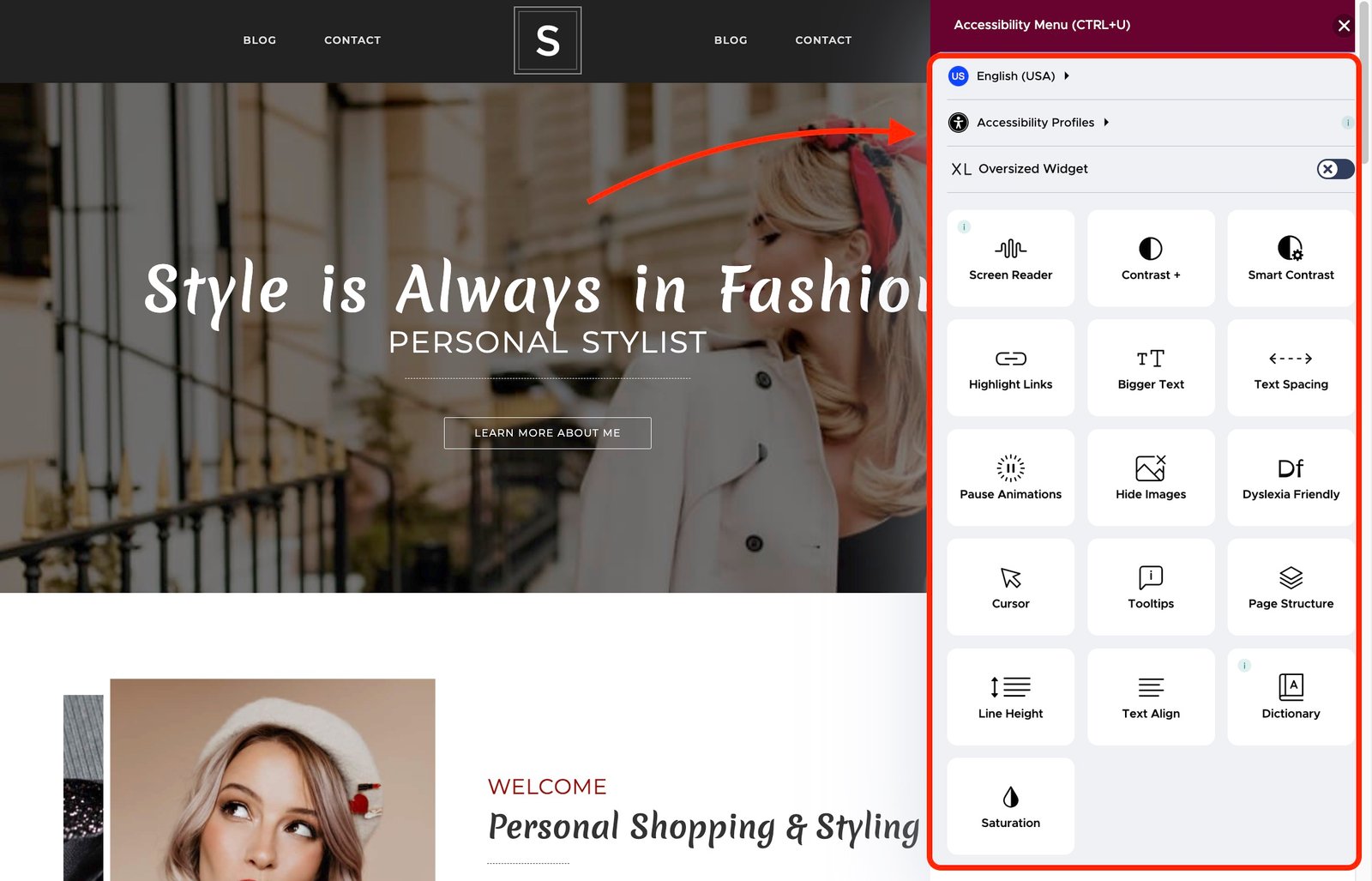 An example of how a paid version of the AI Accessibility Widget looks like.