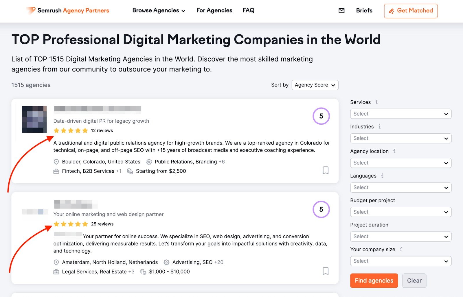 Digital agency card displaying total reviews from both Google Maps and the Agency Partners platform.